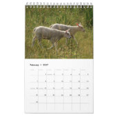 Kalender met afbeeldingen van de natuur (Feb 2027)