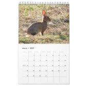 Kalender met afbeeldingen van de natuur (Mär 2027)
