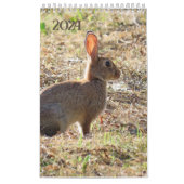 Kalender met afbeeldingen van de natuur (Titelbild)