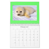 Kalender mit 2010 Tieren (Feb 2027)