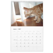 Kalender mit den Katzen - besonders angefertigt (Mär 2027)