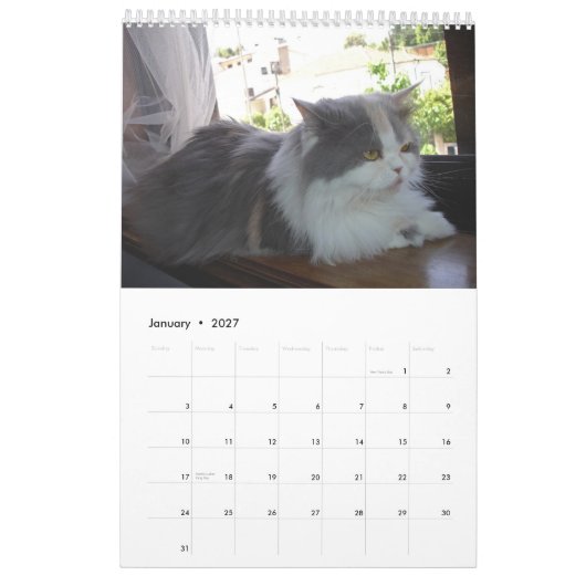 Kalender mit den Katzen - besonders angefertigt (Jan 2027)