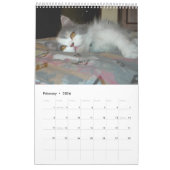 Kalender mit den Katzen - besonders angefertigt (Feb 2026)