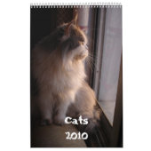 Kalender mit den Katzen - besonders angefertigt (Titelbild)