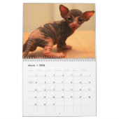Kalender mit ein niedlichen sphynx Kätzchen (Mär 2026)