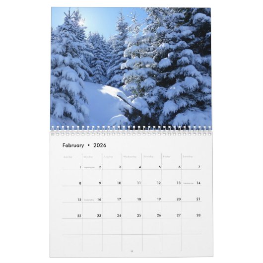 Kalender mit Feiertagen - Bäume (Feb 2026)
