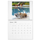 Kalender mit Hundebildern (Feb 2026)