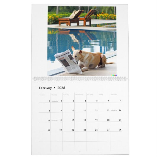 Kalender mit Hundebildern (Feb 2026)