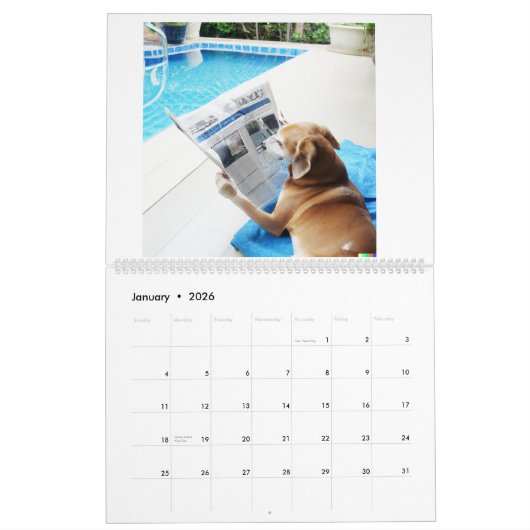 Kalender mit Hundebildern (Jan 2026)