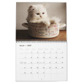Kalender mit Katzenbabys mittlerer Größe (Mär 2027)