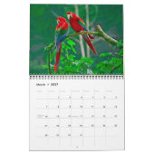 Kalender mit mittelgroßen schönen Vögeln (Mär 2027)