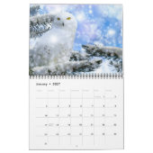 Kalender mit mittelgroßen schönen Vögeln (Jan 2027)