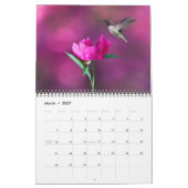 Kalender mit mittelgroßen schönen Vögeln (Mär 2027)