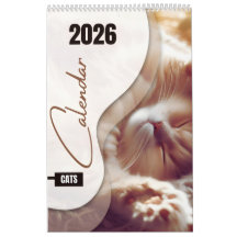 Kalender mit süßen Katzen
