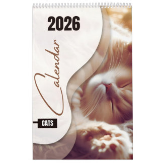Kalender mit süßen Katzen
