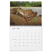 Kalender mit Teichfröschen (Mär 2027)