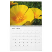 KALENDER Mohnblumen-Kalender MOHNBLUME Blumen (Mär 2027)