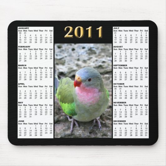 Kalender Mousepad Prinzessin-Parrot 2011 (Vorne)