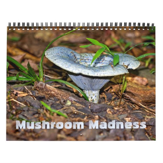 Kalender ~ Mushroom Madame (Titelbild)