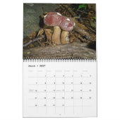 Kalender ~ Mushroom Madame (Mär 2027)