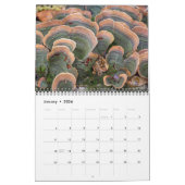 Kalender ~ Mushroom Madame (Jan 2026)