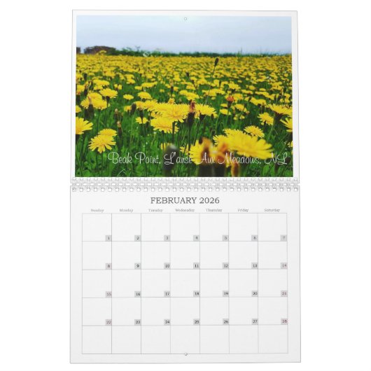 Kalender Neufundlands 2019 (Feb 2026)