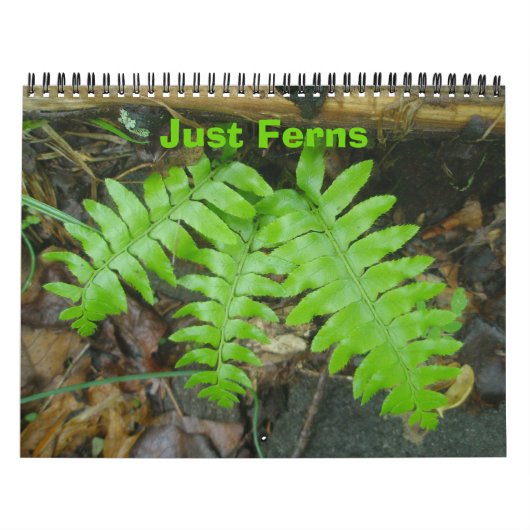 Kalender - Nur Ferns (Titelbild)