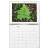 Kalender - Nur Ferns (Jan 2027)
