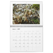 Kalender - Nur Ferns (Mär 2027)