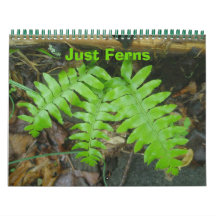 Kalender - Nur Ferns