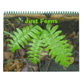 Kalender - Nur Ferns