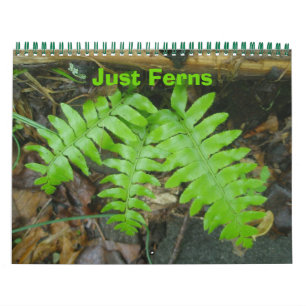 Kalender - Nur Ferns