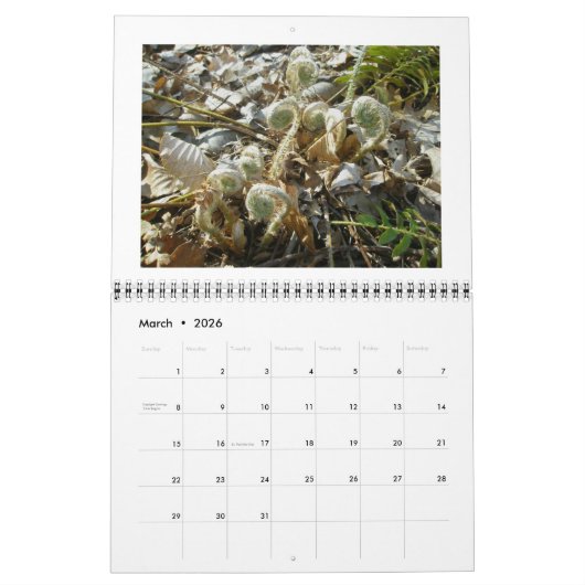 Kalender - Nur Ferns (Mär 2026)