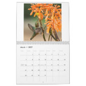 Kalender OC-Foto-2017 für 2018 (Mär 2027)