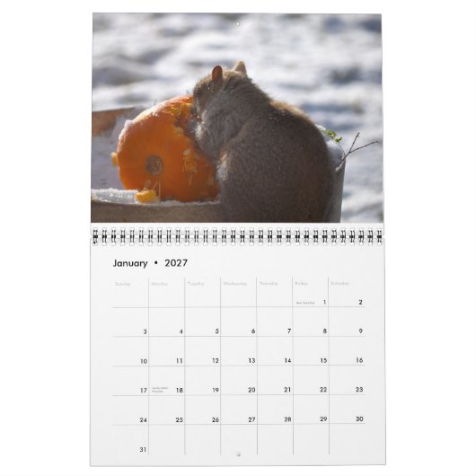 Kalender OM Nom Eichhörnchen-2013 (Jan 2027)