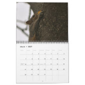 Kalender OM Nom Eichhörnchen-2013 (Mär 2027)