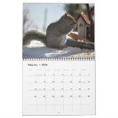 Kalender OM Nom Eichhörnchen-2013 (Feb 2026)