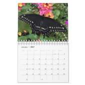 Kalender - Ostschwarzes Frack Schmetterlinge (Jan 2027)