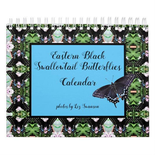 Kalender - Ostschwarzes Frack Schmetterlinge (Titelbild)