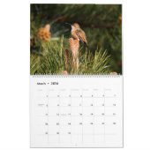Kalender Pacific Northwest Wildlife (c)2026 (Mär 2026)