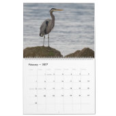 Kalender Pacific Northwest Wildlife (c)2026 (Feb 2027)