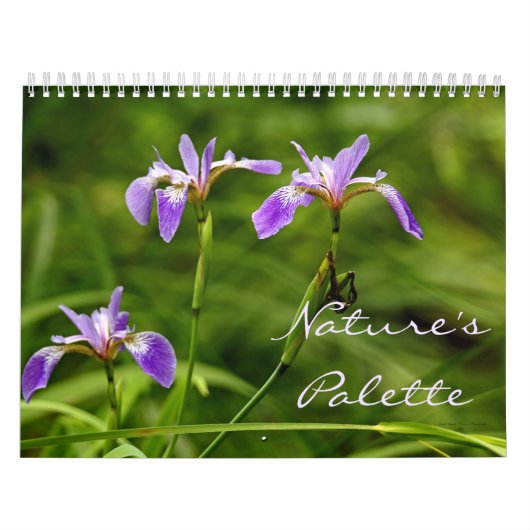 Kalender - Palette der Natur (Titelbild)