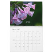 Kalender - Palette der Natur (Mär 2027)