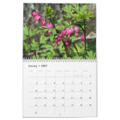 Kalender - Palette der Natur (Jan 2027)