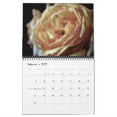 Kalender Palmer Fotografie-2012 (Version 2) (Feb 2027)