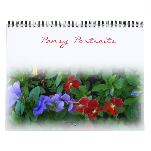 Kalender - Pansy Portrait (Titelbild)