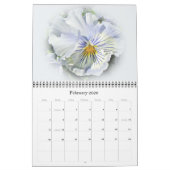 Kalender - Pansy Portrait (Feb 2026)