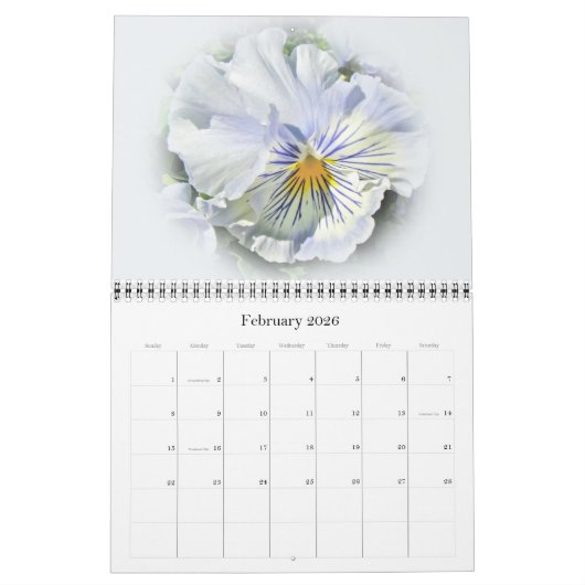 Kalender - Pansy Portrait (Feb 2026)