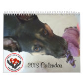 Kalender Pawfect Match-2013 (Titelbild)