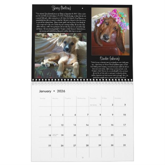 Kalender Pawfect Match-2013 (Jan 2026)